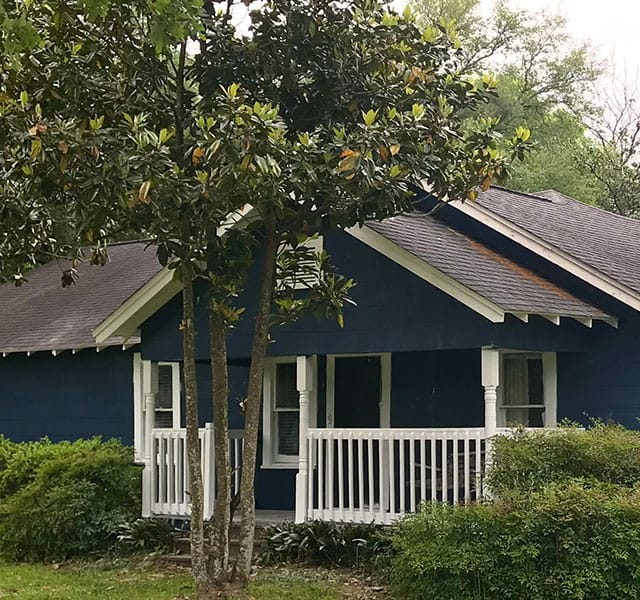 Backyard Construction