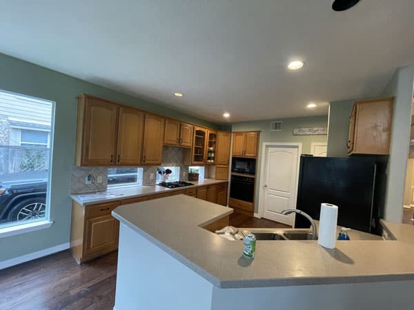 lochflora-dr-before-04