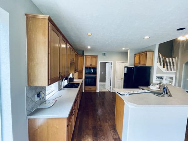 lochflora-dr-after-02